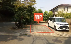 田舎や地方でも特Pニーズはある